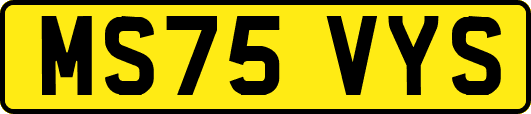 MS75VYS