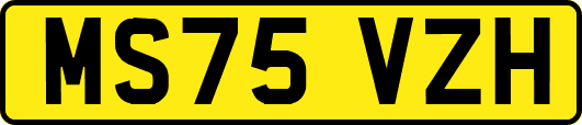 MS75VZH