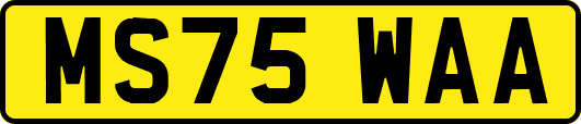 MS75WAA