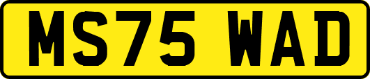 MS75WAD