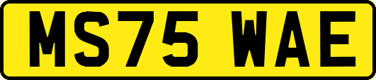 MS75WAE