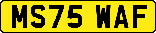 MS75WAF