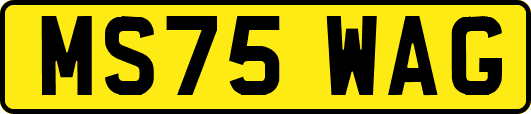 MS75WAG