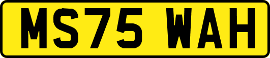 MS75WAH