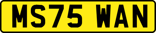 MS75WAN
