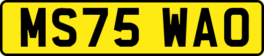 MS75WAO