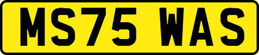 MS75WAS