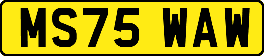 MS75WAW