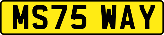 MS75WAY