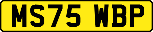 MS75WBP