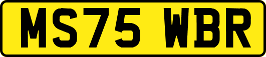 MS75WBR