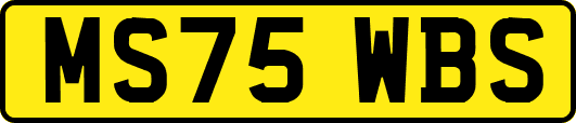 MS75WBS
