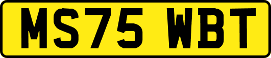 MS75WBT