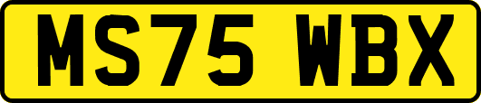 MS75WBX
