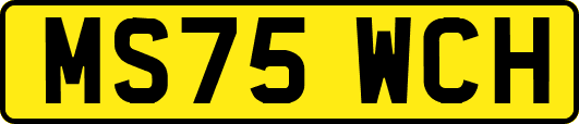 MS75WCH