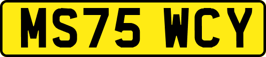 MS75WCY