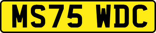 MS75WDC