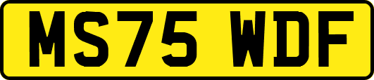 MS75WDF