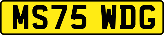 MS75WDG