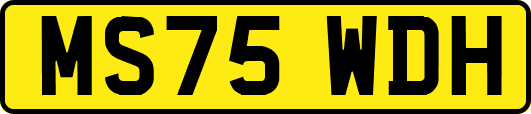 MS75WDH