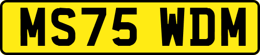 MS75WDM