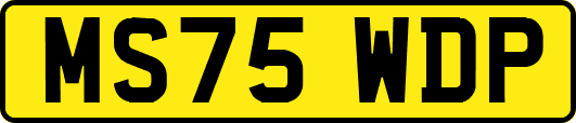 MS75WDP