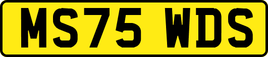 MS75WDS