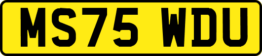 MS75WDU