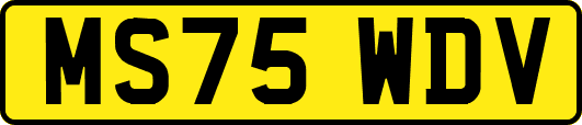 MS75WDV