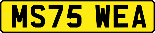 MS75WEA
