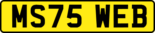 MS75WEB
