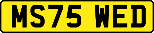MS75WED