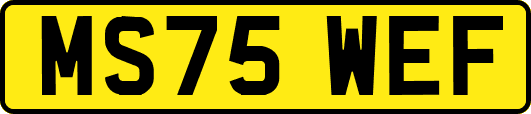 MS75WEF