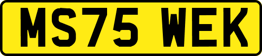 MS75WEK