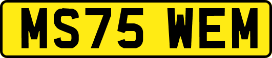 MS75WEM