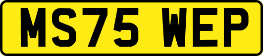 MS75WEP