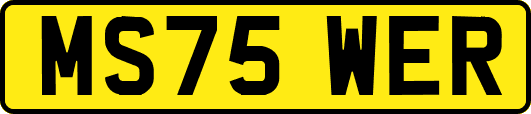 MS75WER