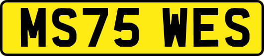 MS75WES