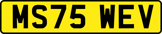 MS75WEV