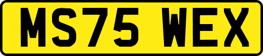 MS75WEX