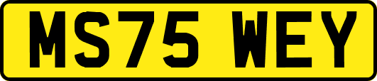 MS75WEY