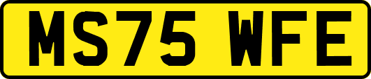 MS75WFE