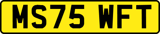 MS75WFT