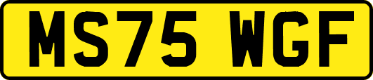 MS75WGF
