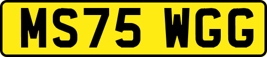 MS75WGG