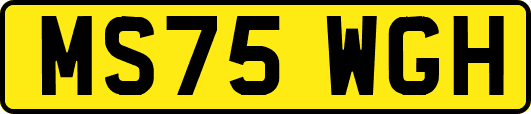 MS75WGH