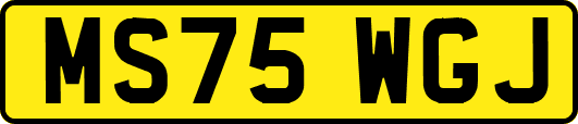 MS75WGJ