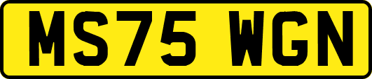 MS75WGN