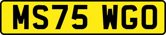 MS75WGO