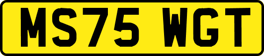MS75WGT